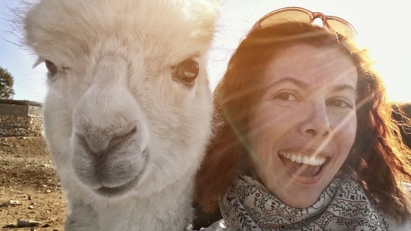 A smiling woman takes a sunny selfie with a fluffy white alpaca outdoors.