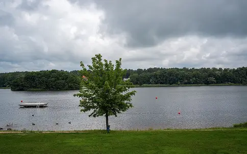 Beaches & Shoreline Swimming Areas