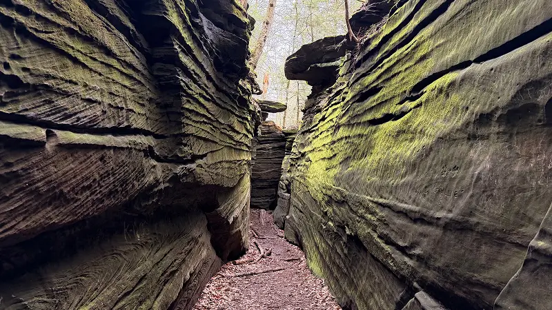 Narrow rocky canyon path with mossy stone walls at Deep Creek Lake State Park