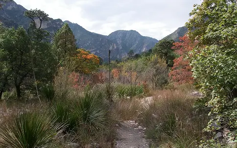 Hiking the Canyon Trail