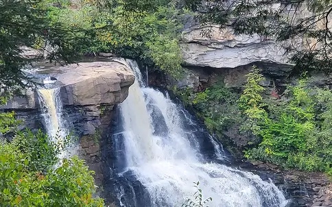 Waterfall Viewing