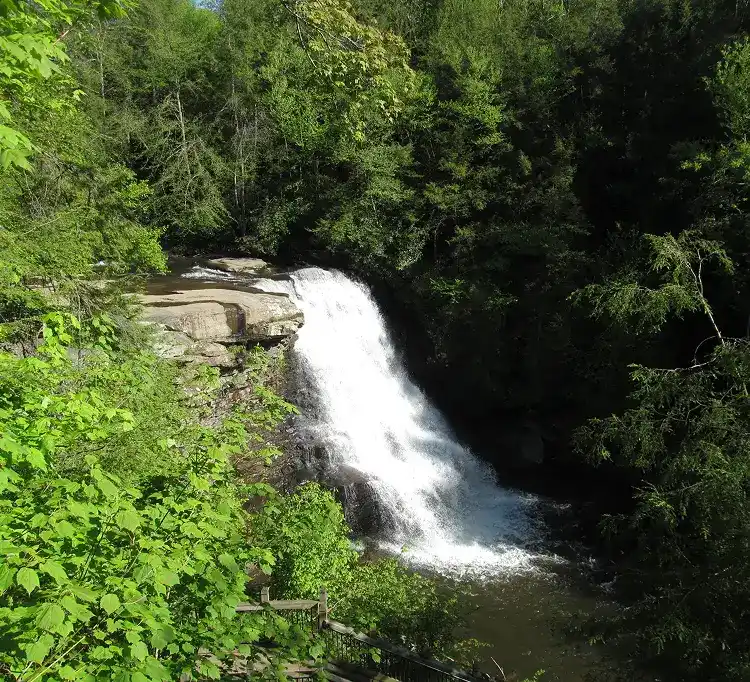 What Can You Do at Swallow Falls State Park