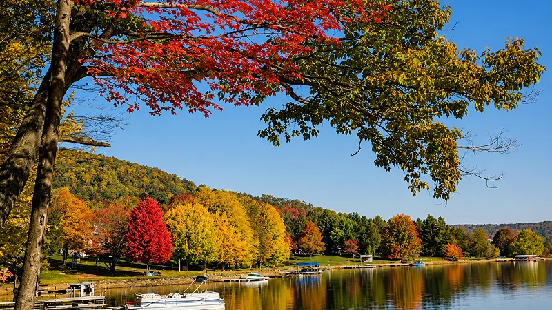 A red and yellow maple tree branch framing a lake lined with autumn trees and docked boats.