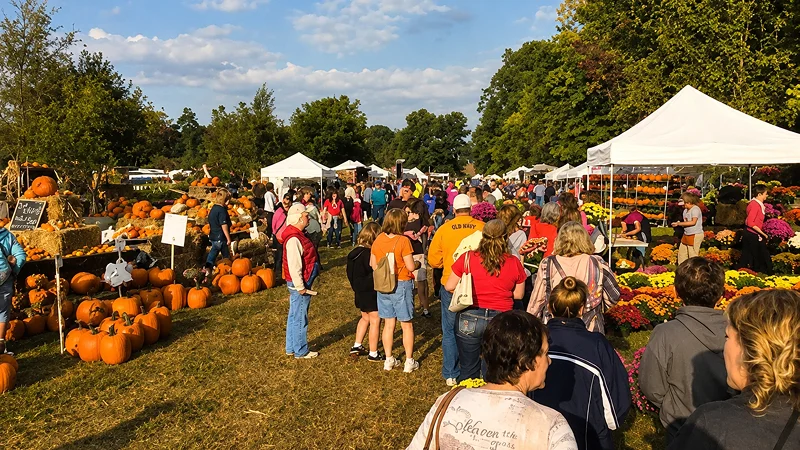 A crowd of festival-goers browsing pumpkins and fall flowers at an outdoor market on a sunny day.