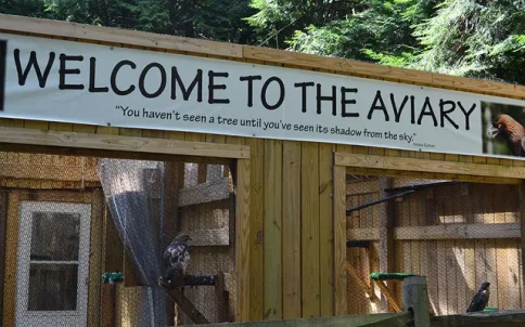 Wooden aviary exhibit with birds at the Discovery Center