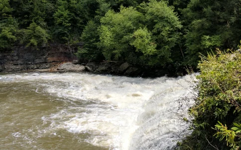 Muddy Creek Falls rushing over rocks surrounded by forest